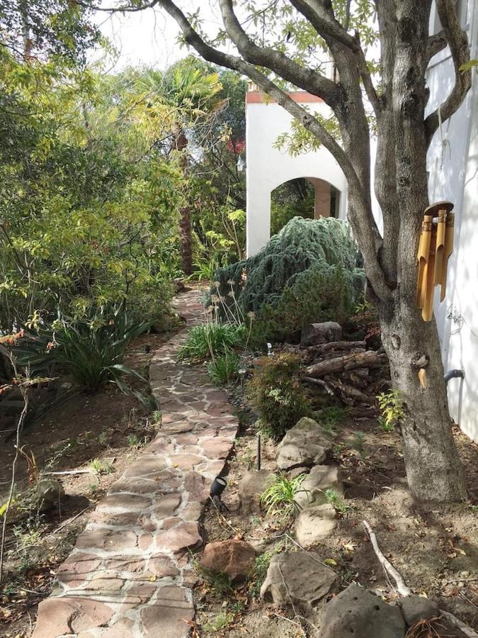 Serene Charming Private Suite Patio, Upscale Berkeley Exterior foto