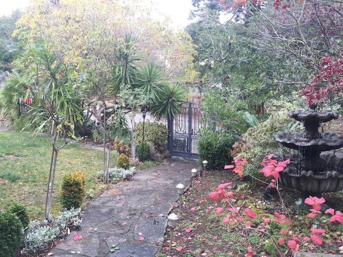 Serene Charming Private Suite Patio, Upscale Berkeley Exterior foto
